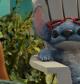 Lilo & Stitch (Live-Action) Review: A heartfelt remake that recaptures the magic