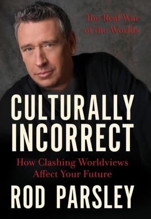 Culturally Incorrect cover